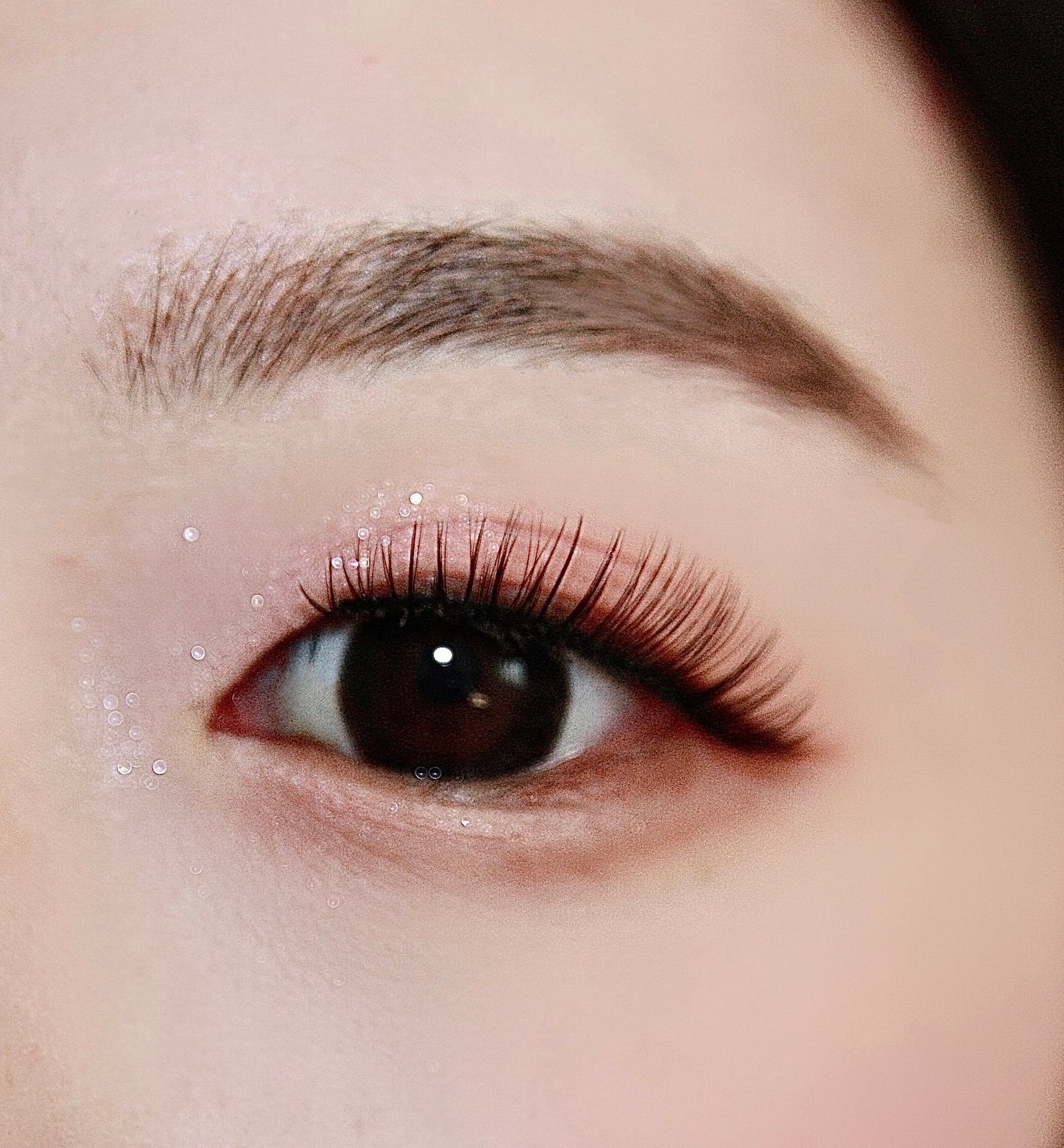 5 Pairs of "Angelic" Everyday Soft Natural False Lashes