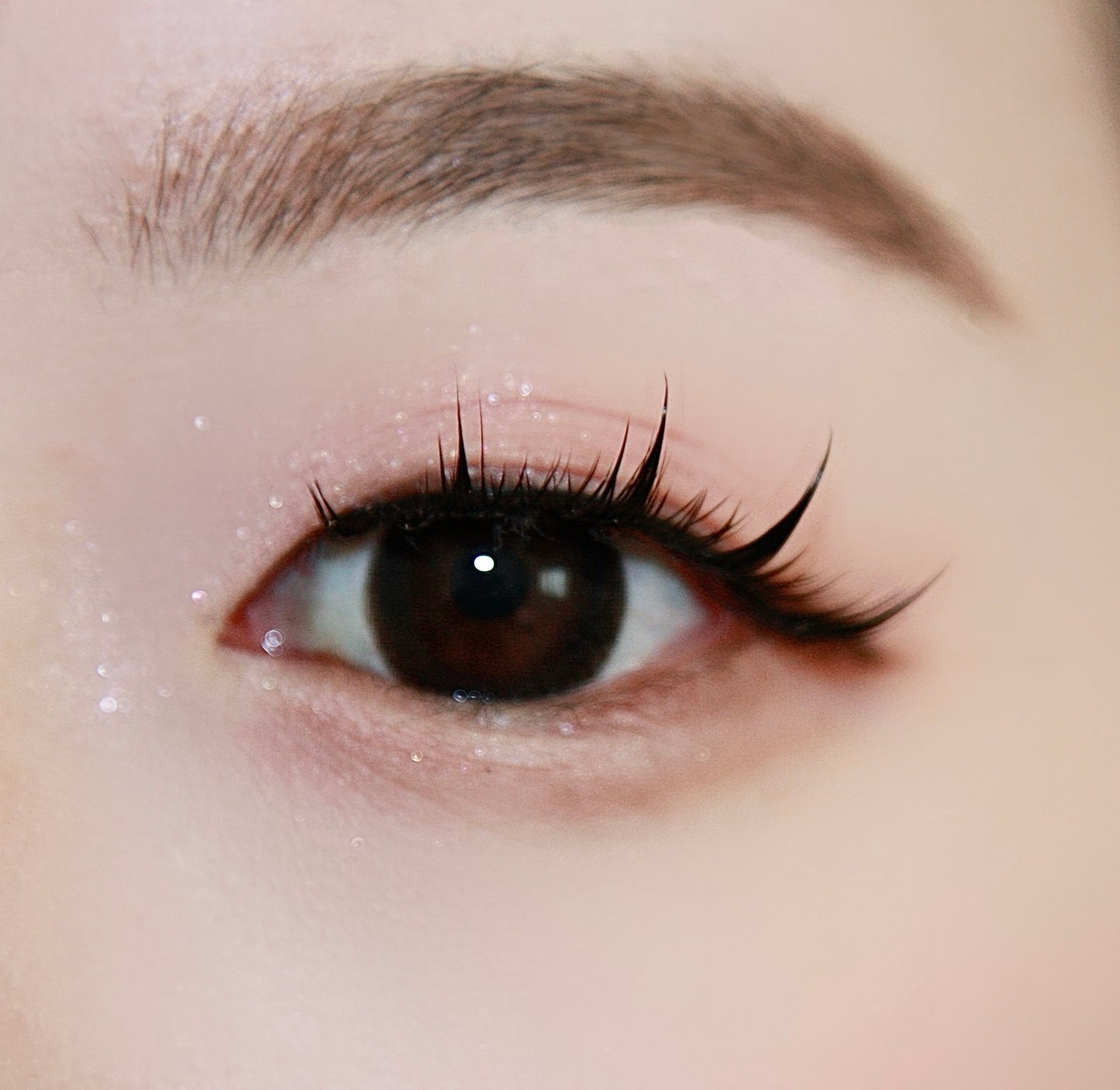 5 Pairs of "Dream" Anime-Manga Inspired False Lashes