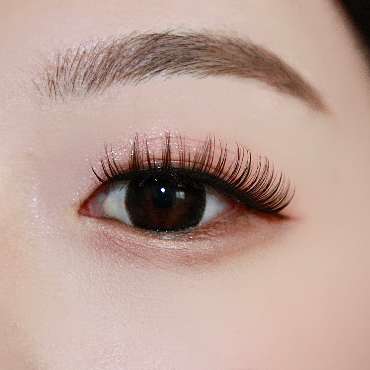 10 Pairs of "Halo" Russian Lash-Extensions Inspired False Lashes