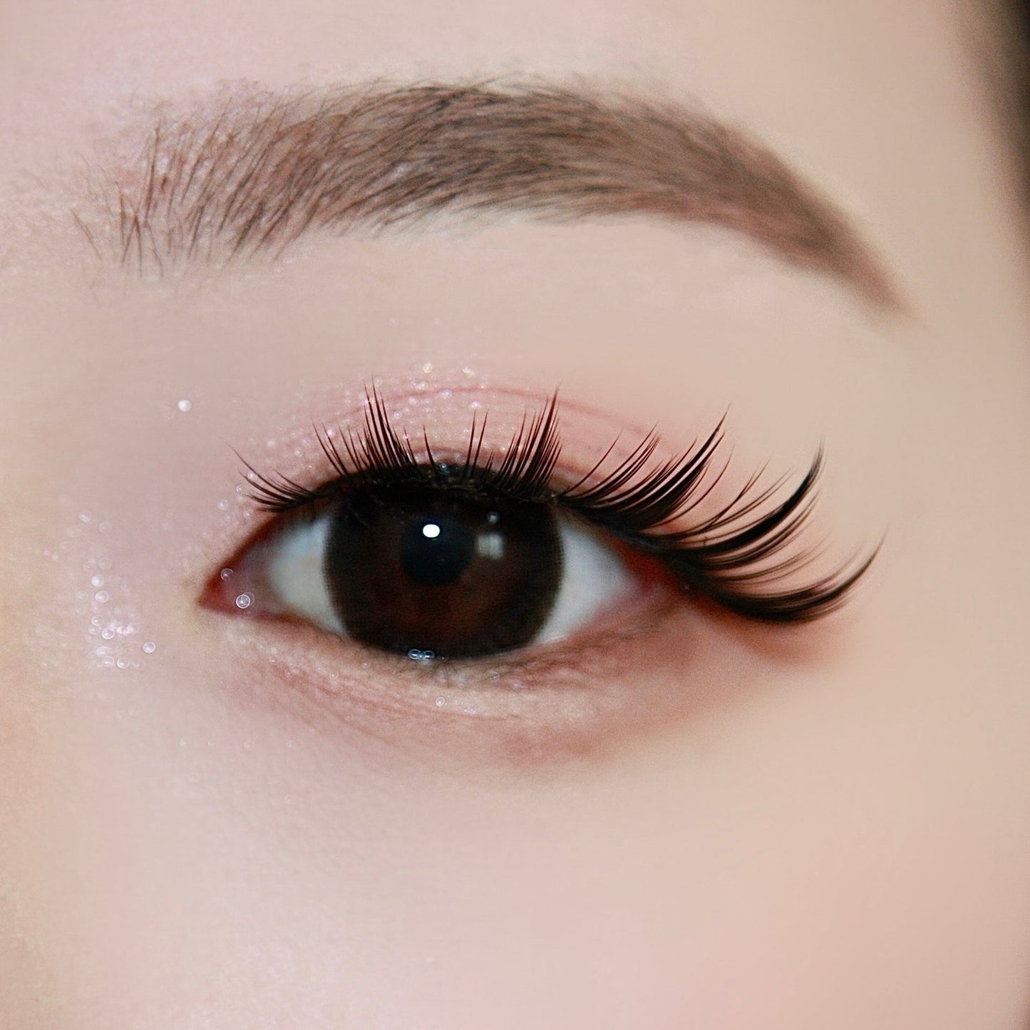 5 Pairs of "Luna" Fluttery Anime-Manga Inspired False Lashes